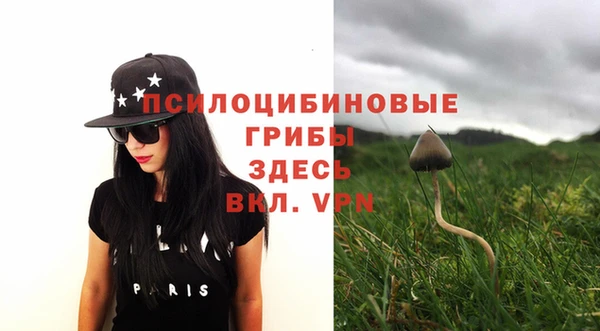 стаф Балахна