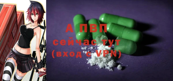 стаф Балахна