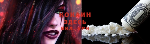 стаф Балахна