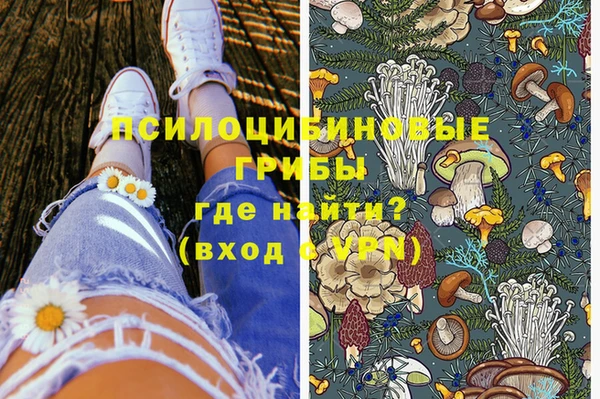 стаф Балахна