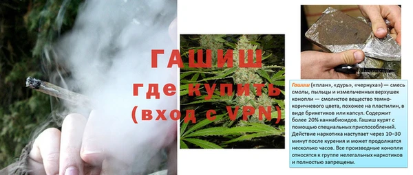 стаф Балахна