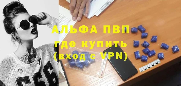 стаф Балахна