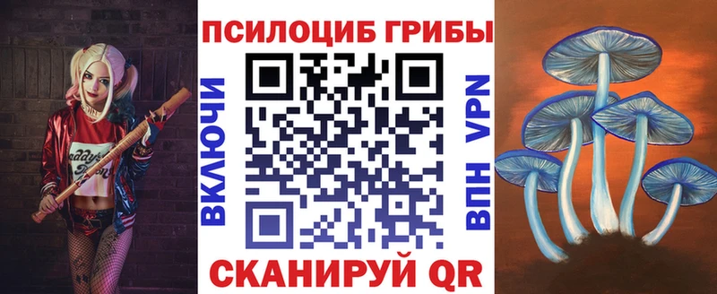 как найти закладки Ленинск Псилоцибиновые грибы мицелий